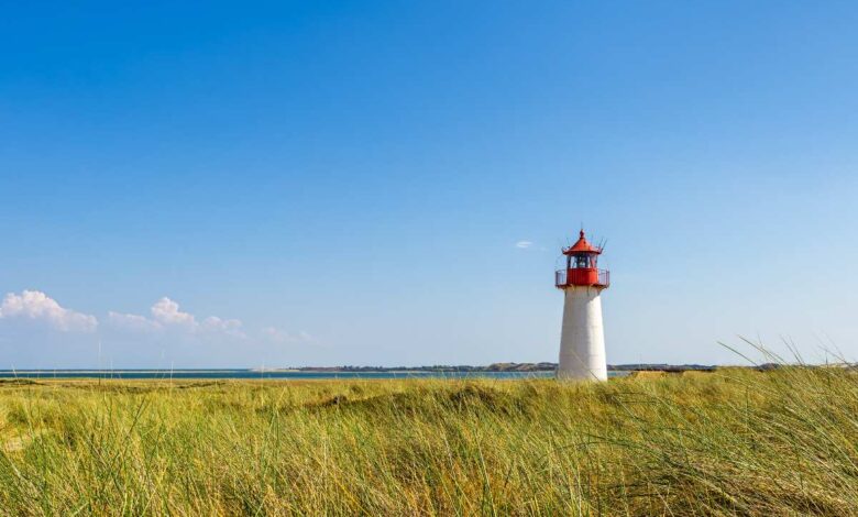 Plattdüütsche Lesungen to Markttied: Einladung des Heimat- und Geschichtsvereins Buxtehude am 6. September 2023