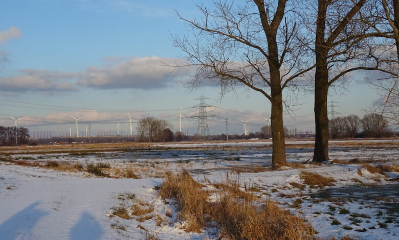 Mit dem NABU-Süd in den herbstlichen Moorgürtel auf Entdeckungstour