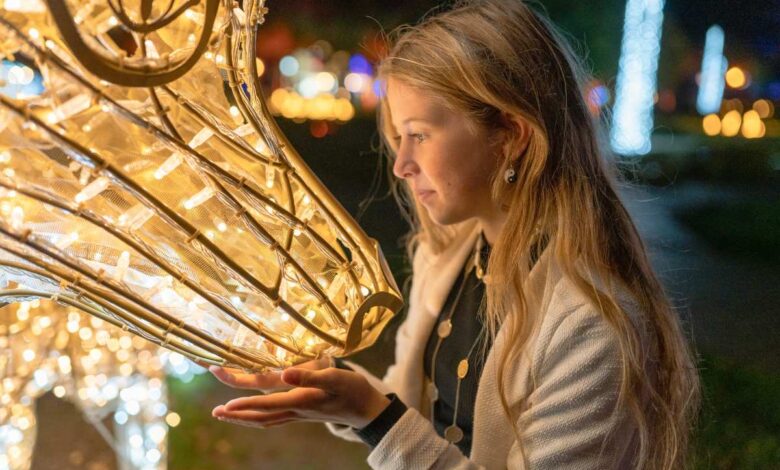 Zauberhaftes Lichtspektakel: Wildpark Schwarze Berge verzaubert mit märchenhafter Installation