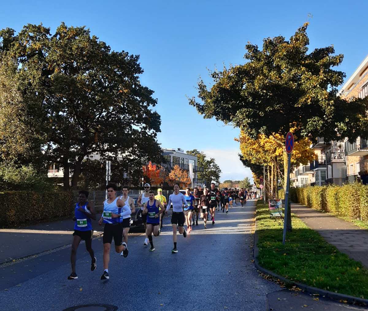 Anmelderekord: Große Begeisterung für den Süderelbe Halbmarathon