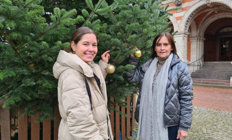 Harburger Rathausplatz verwandelt sich wieder in einen gemütlichen Weihnachtsmarkt