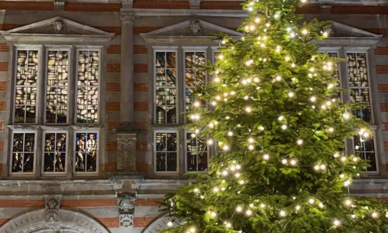 Jetzt wird es weihnachtlich: Harburgs Tanne wurde am Rathausplatz angeliefert 12 Jetzt wird es weihnachtlich: Harburgs Tanne wurde am Rathausplatz angeliefert