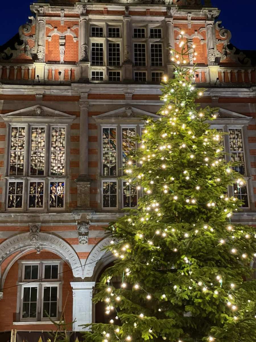 Jetzt wird es weihnachtlich: Harburgs Tanne wurde am Rathausplatz angeliefert