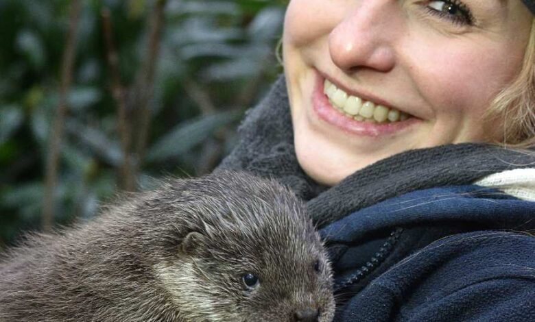 Fischotter-Nachwuchs im Wildpark Schwarze Berge noch ohne Namen