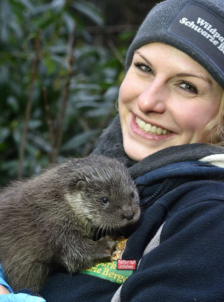 Fischotter-Nachwuchs im Wildpark Schwarze Berge noch ohne Namen