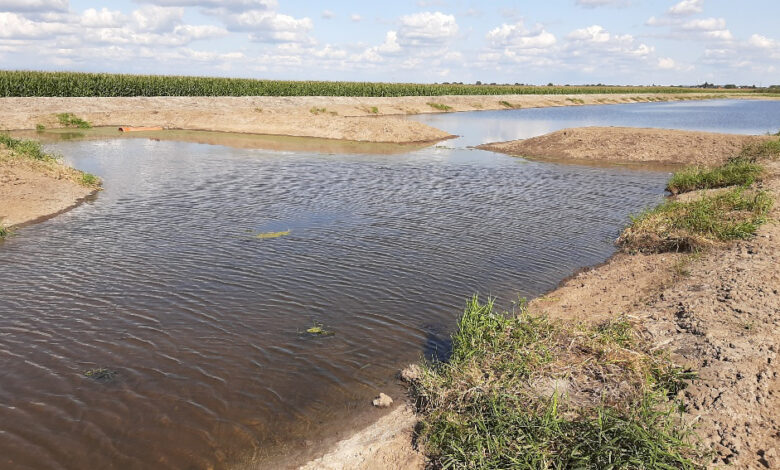 Altes Land: Neues Leben für ein unter Druck stehendes Gewässersystem