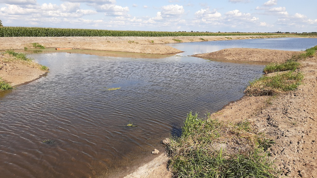 Altes Land: Neues Leben für ein unter Druck stehendes Gewässersystem