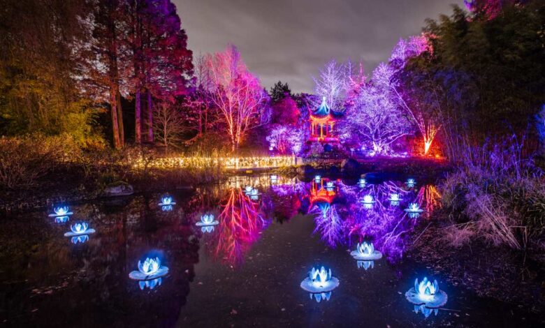 Märchenhafte Lichtkunst verzauberte das Publikum im Loki-Schmidt-Garten