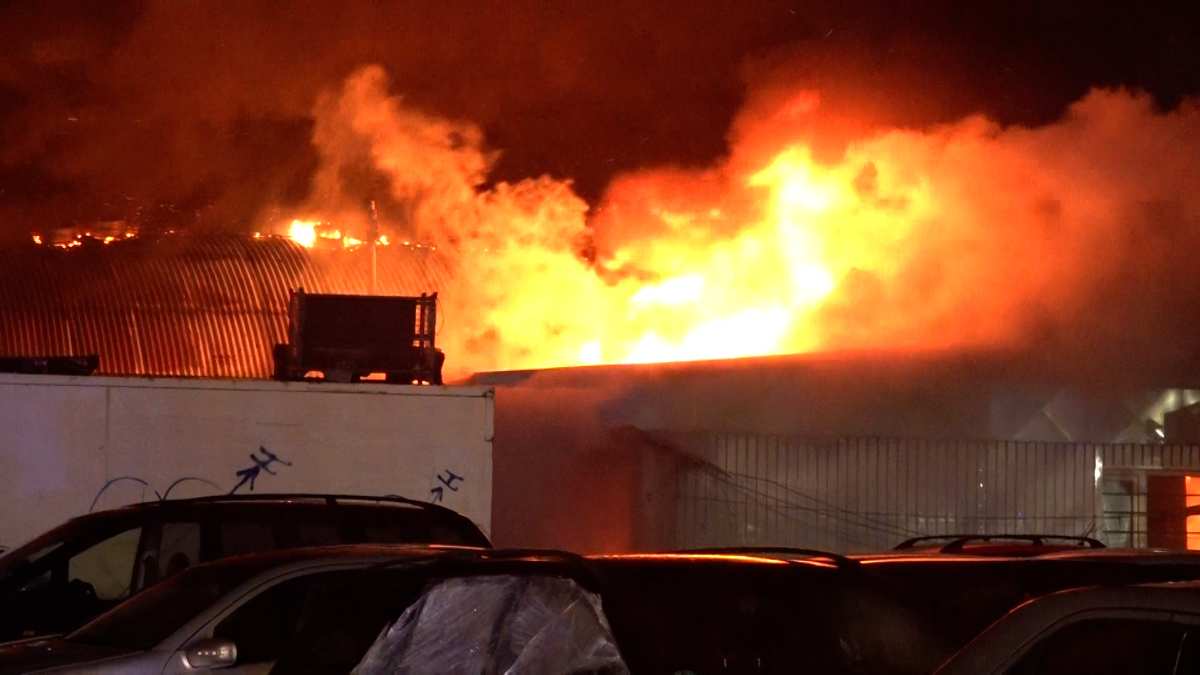 Brandkatastrophe in Wilhelmsburg: Lagerhalle und Wohngebäude vernichtet 1 Brandkatastrophe in Wilhelmsburg: Lagerhalle und Wohngebäude vernichtet