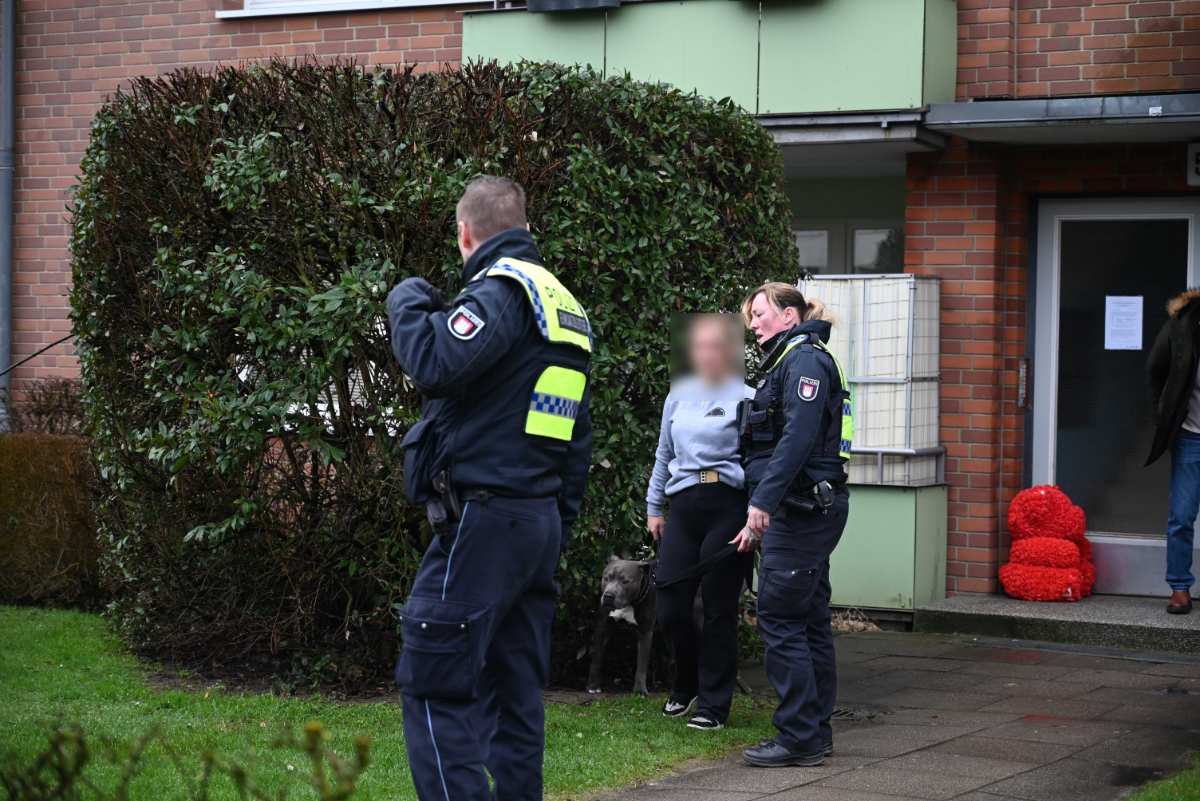 Polizei beschlagnahmt "Listenhunde" nach Vorfall - Großer Einsatz vor Ort 1 Polizei beschlagnahmt "Listenhunde" nach Vorfall - Großer Einsatz vor Ort