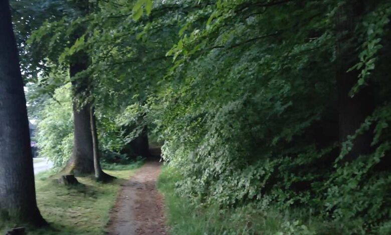 NABU Hamburg Süd: Ornithologisch-botanischer Spaziergang im Höpen