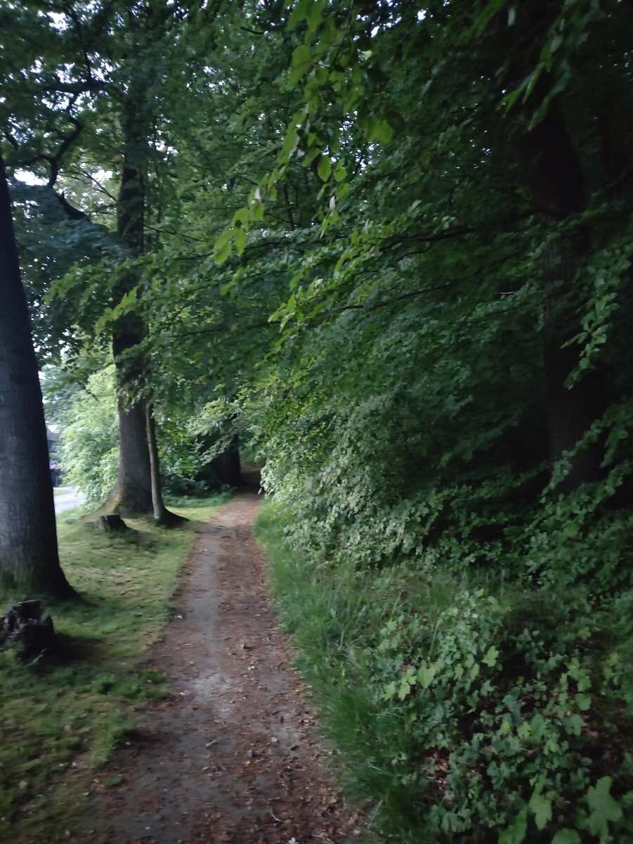 NABU Hamburg Süd: Ornithologisch-botanischer Spaziergang im Höpen