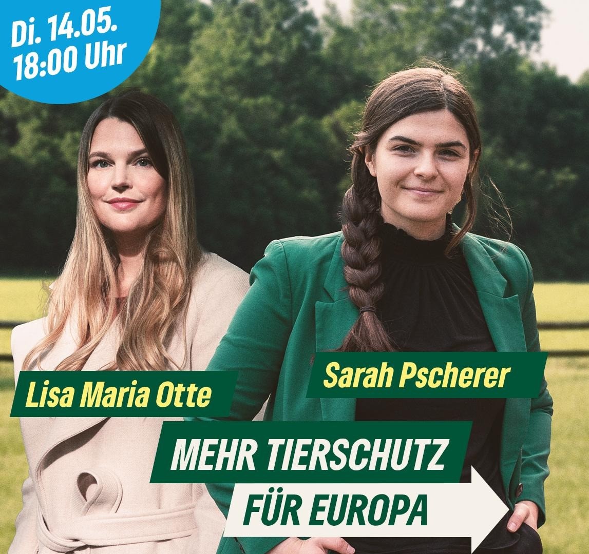 Mehr Tierschutz für Europa - Diskussionsveranstaltung im Stellwerk
