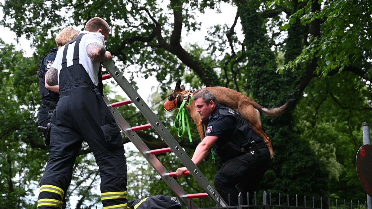 Crackküche entdeckt: Wer seinen Job liebt, der trägt seine Spürnase zum Erfolg