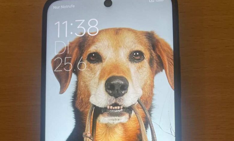Vermutliches Raubgut sucht ihre Eigentümer: Wem gehört dieses Handy?