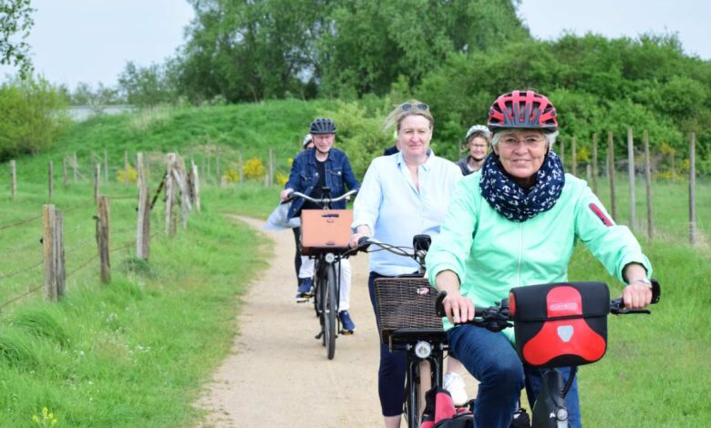 Von der Altstadt ins Schwingetal: Fahrradtour durch Stades Stadt und Natur