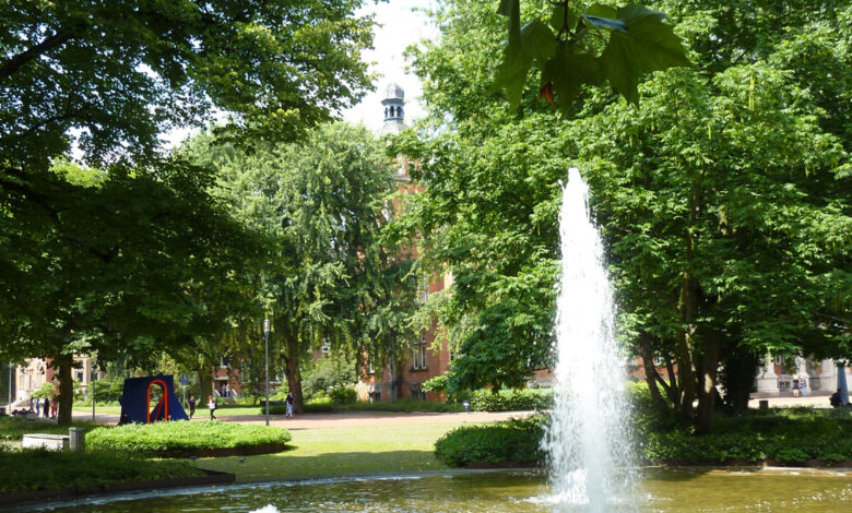 Safari auf dem Harburger Zukunftsbaumpfad I: Entdecken Sie die Bäume der Zukunft 11 Safari auf dem Harburger Zukunftsbaumpfad I: Entdecken Sie die Bäume der Zukunft