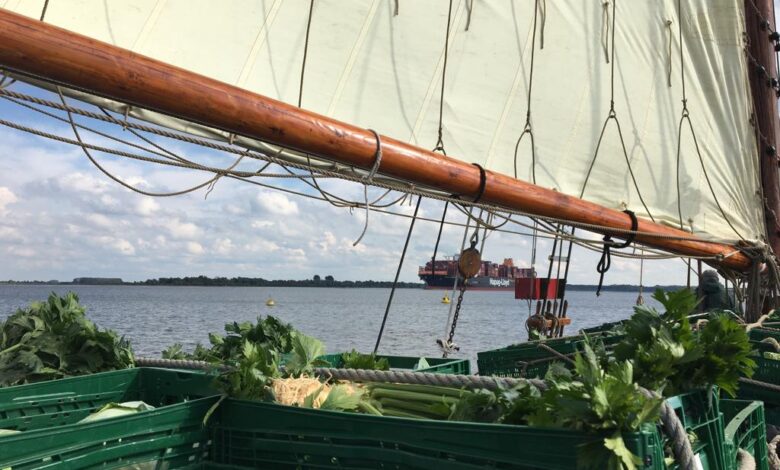 Zu gewinnen: Elbtörn nach Glückstadt zur Gemüseverschiffung für den Stader Kohltag 3 Zu gewinnen: Elbtörn nach Glückstadt zur Gemüseverschiffung für den Stader Kohltag