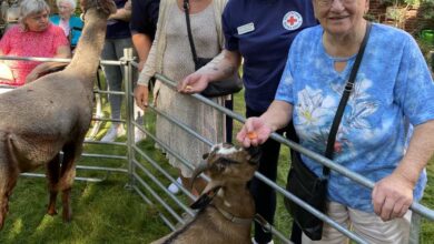Tierisches Erlebnis: Mobiler Zoo begeistert Seniorinnen und Senioren