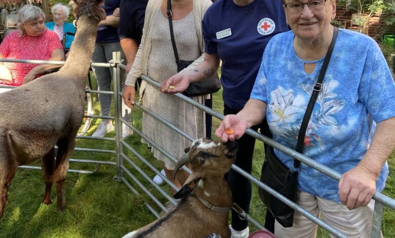 Tierisches Erlebnis: Mobiler Zoo begeistert Seniorinnen und Senioren