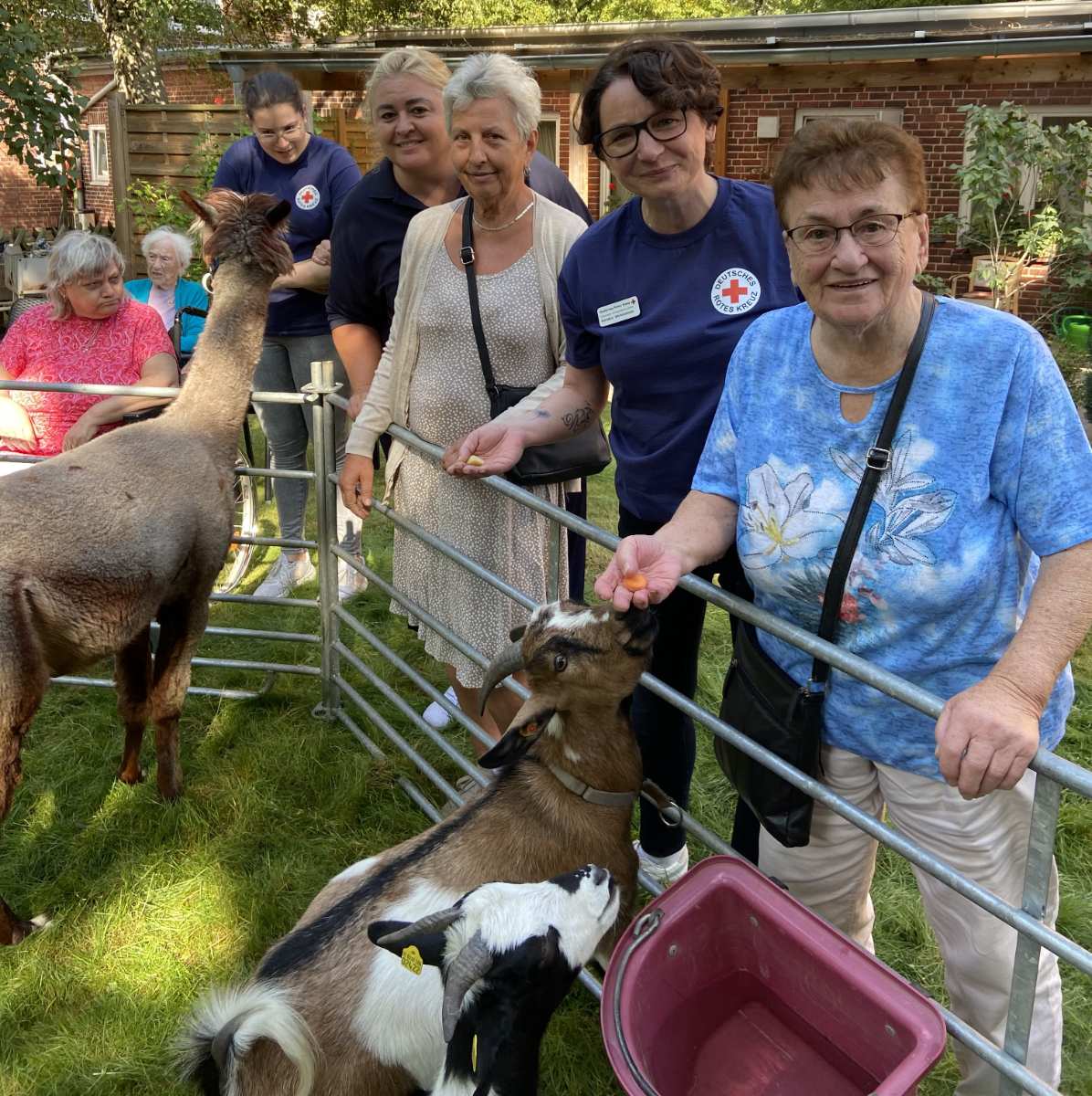 Tierisches Erlebnis: Mobiler Zoo begeistert Seniorinnen und Senioren 1 Tierisches Erlebnis: Mobiler Zoo begeistert Seniorinnen und Senioren