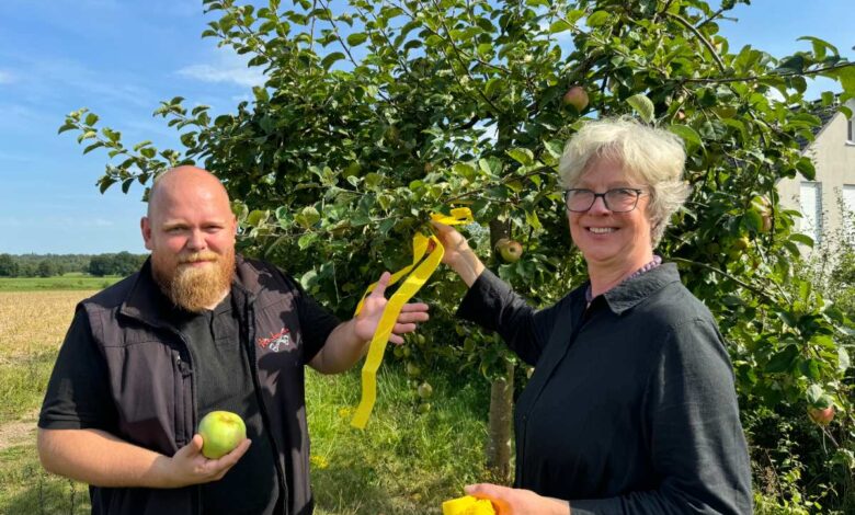 Gelbes Band markiert frei zugängliche Obstbäume: Pflücken für lau in Seevetal 9 Gelbes Band markiert frei zugängliche Obstbäume: Pflücken für lau in Seevetal