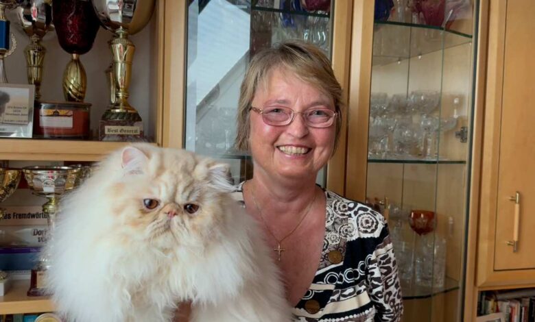 Perserkatzen-Champion aus Seevetal: Nachwuchs hofft auf neue Erfolge