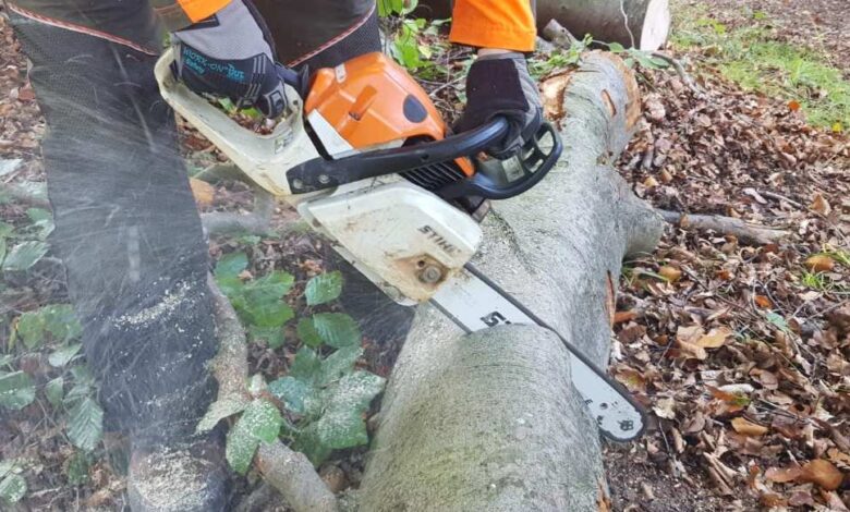 Achtung: Baumfällungen im Landkreis Stade nur mit Genehmigung erlaubt 6 Achtung: Baumfällungen im Landkreis Stade nur mit Genehmigung erlaubt