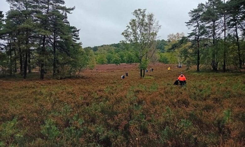 Pflegeeinsatz der NABU-Gruppe Süd zum Erhalt der Fischbeker Heide 8 Pflegeeinsatz der NABU-Gruppe Süd zum Erhalt der Fischbeker Heide