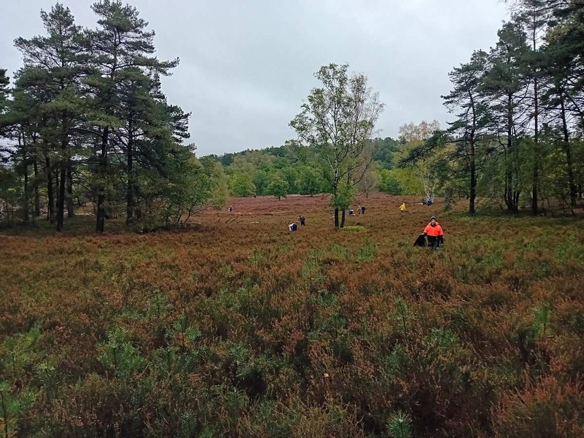 Pflegeeinsatz der NABU-Gruppe Süd zum Erhalt der Fischbeker Heide