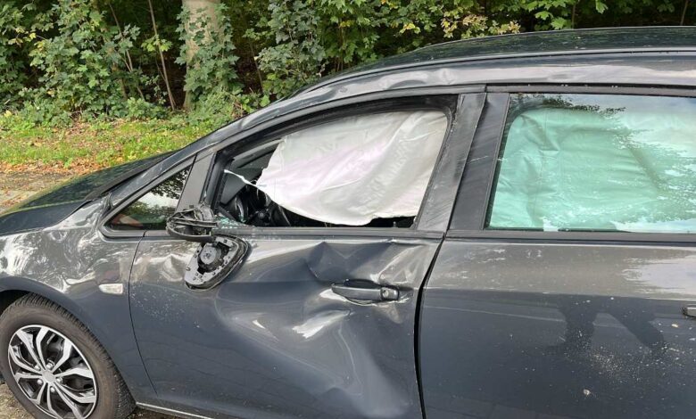 Schwerer Unfall auf der B73 bei Agathenburg: Pferd kollidiert mit Auto 7 Schwerer Unfall auf der B73 bei Agathenburg: Pferd kollidiert mit Auto