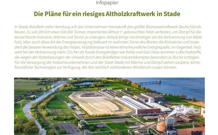 Kritik am geplanten Holzheizkraftwerk in Stade-Bützfleth: Umweltorganisationen warnen vor klimaschädlichen Folgen