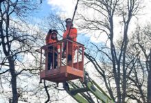 Seevetal setzt auf Inklusion – Neues Ausbildungsangebot für Gartenwerker