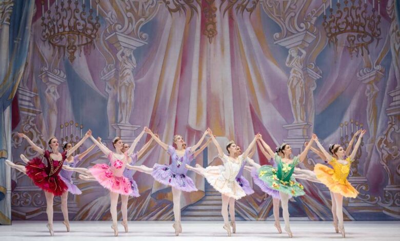 Bühnendarstellung Ballet