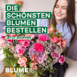 Blume2000