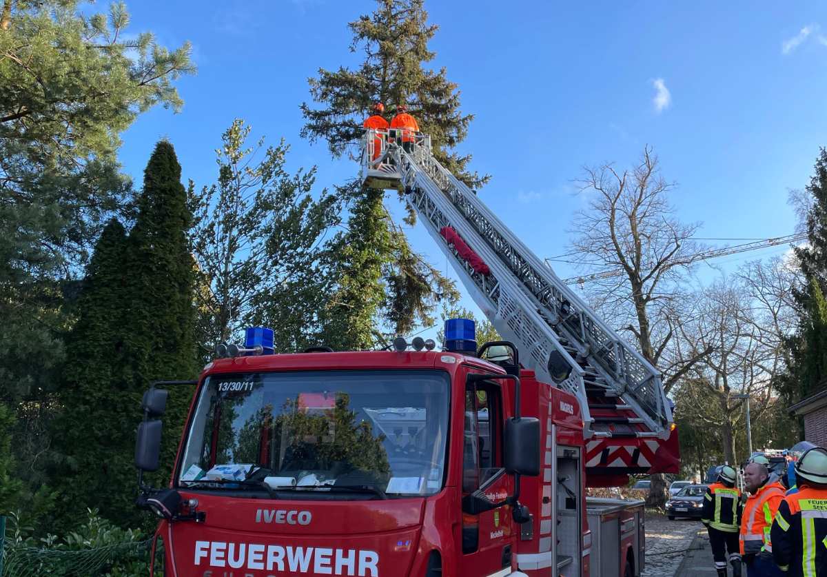 a fire truck with ladders and a tree