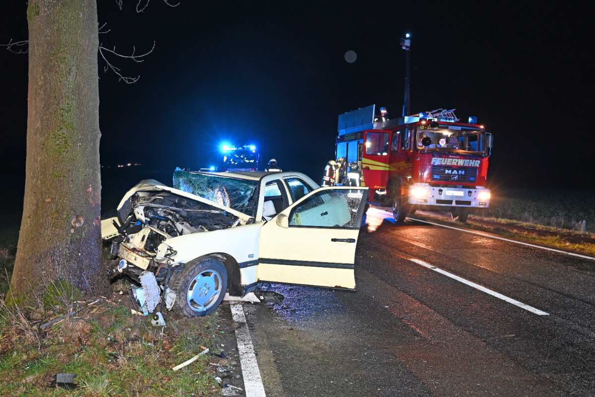 a car crashed into a wood