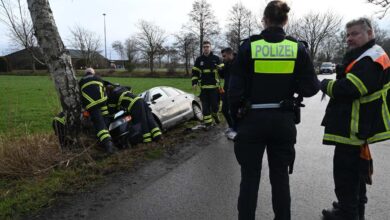 a group of police officers looking at a car that crashed into a tree