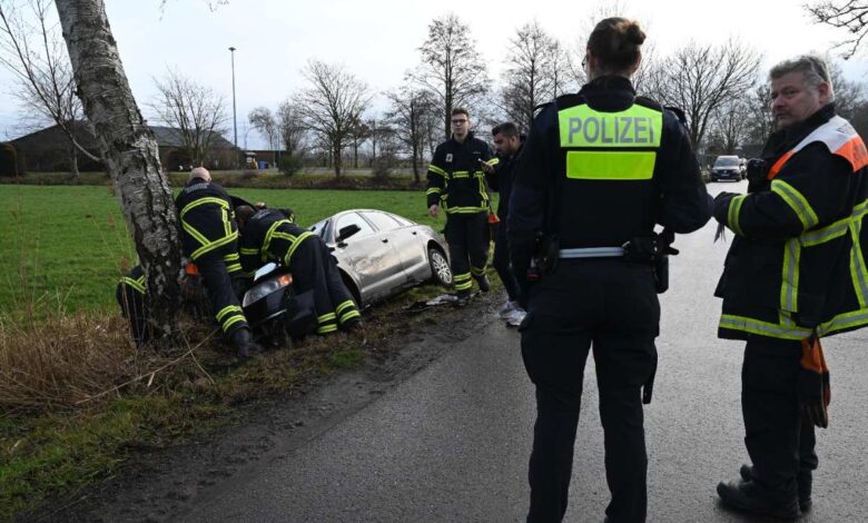 a group of police officers looking at a car that crashed into a tree