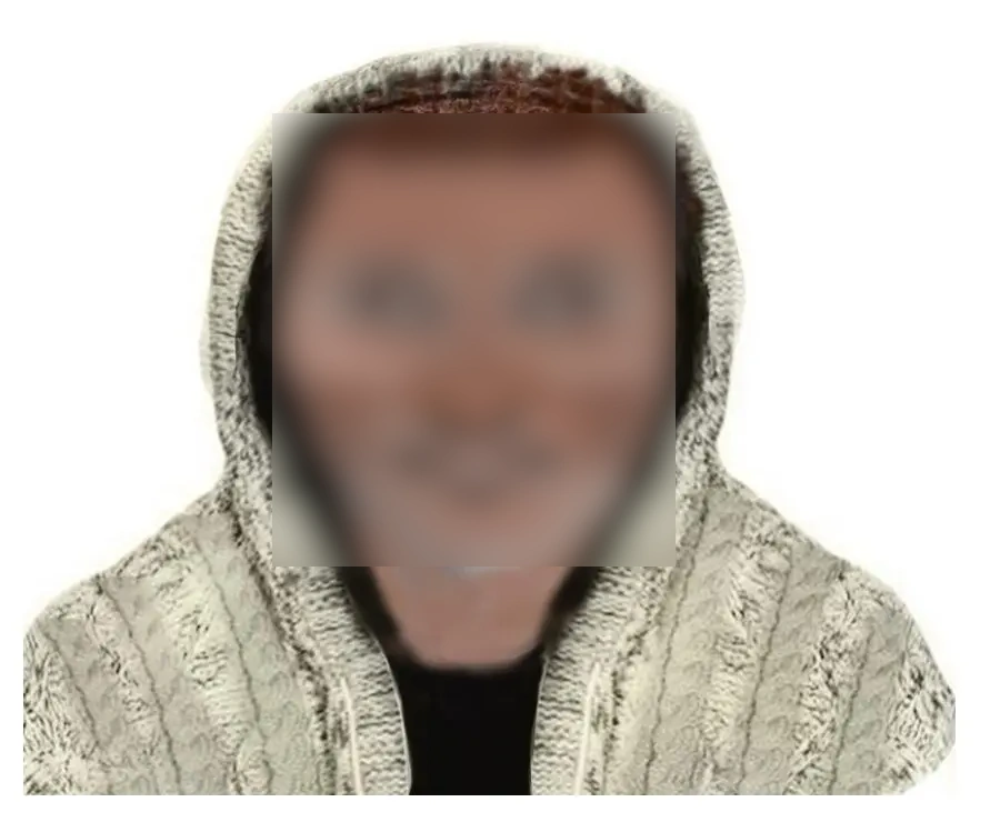 a person wearing a hoodie