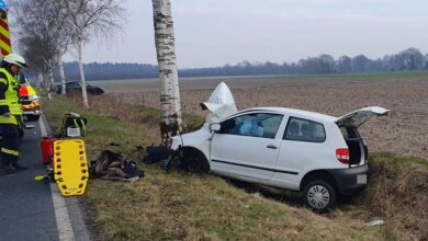 a car crashed into a tree