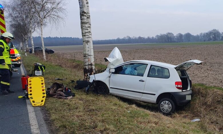 a car crashed into a tree
