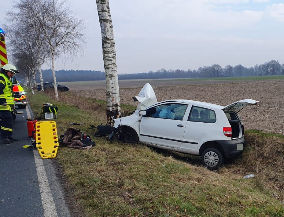 a car crashed into a tree