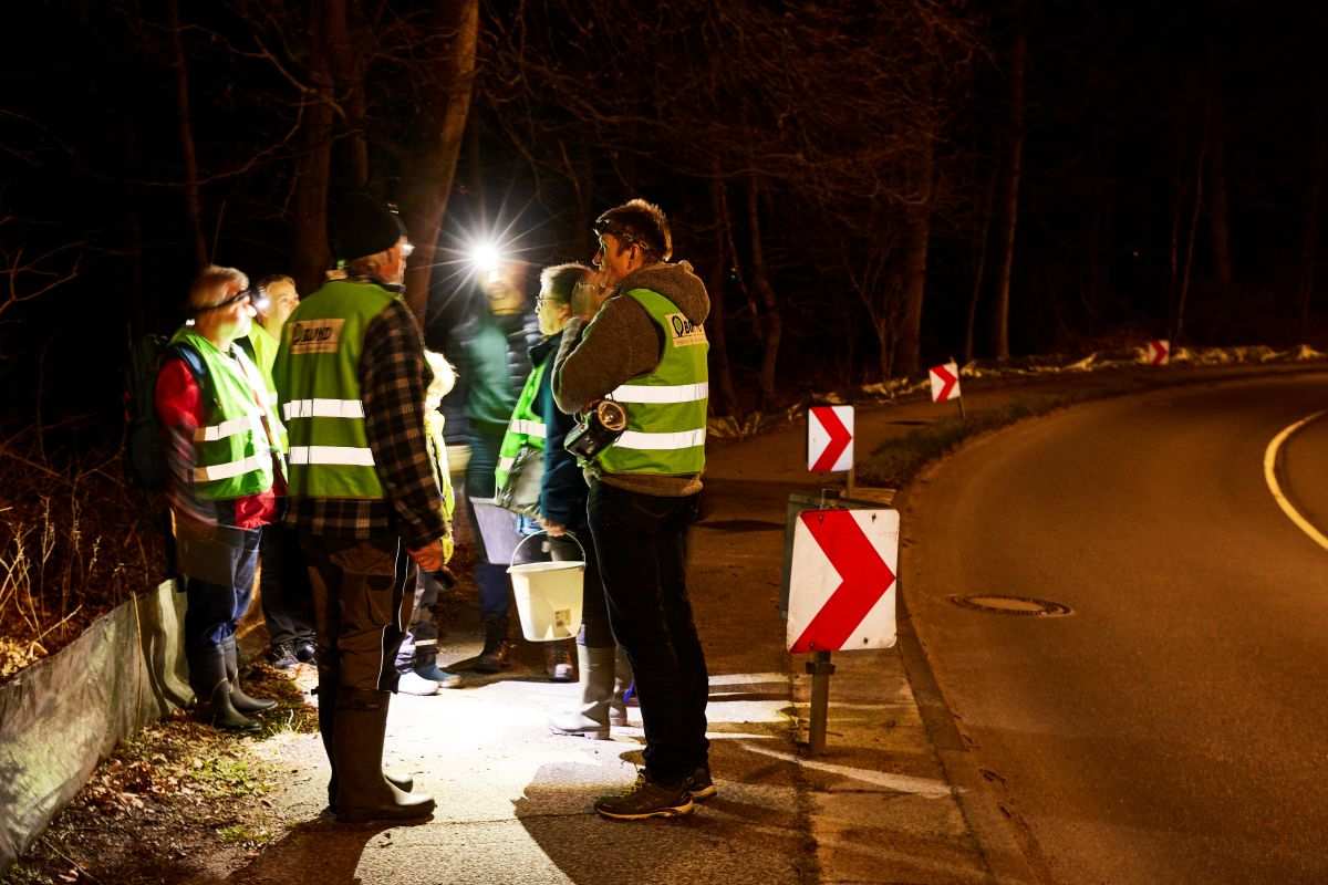 a group of people standing on a road