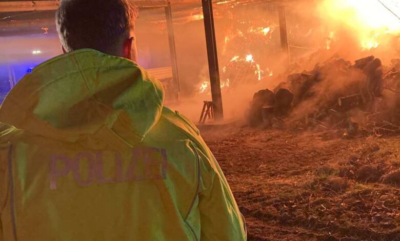 a man looking at a fire