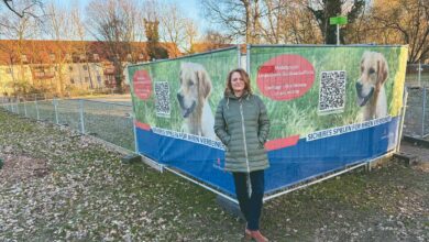 Hundefreilaufflläche Finkenwerder dauerhaft eingerichtet