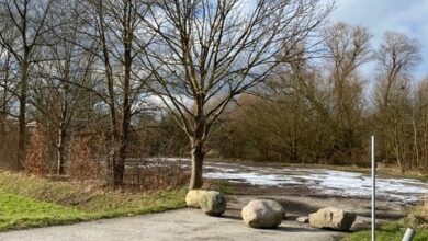 a group of rocks on a road