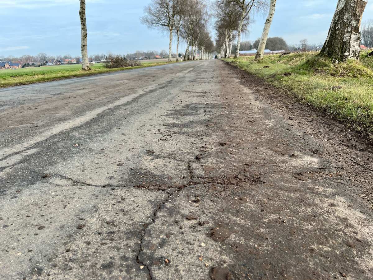 a road with trees on the side