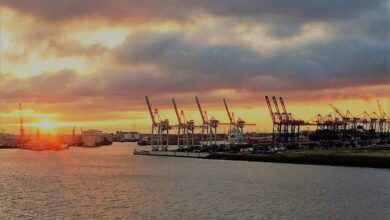 a sunset over a body of water with cranes