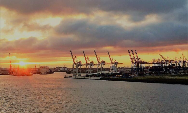 a sunset over a body of water with cranes